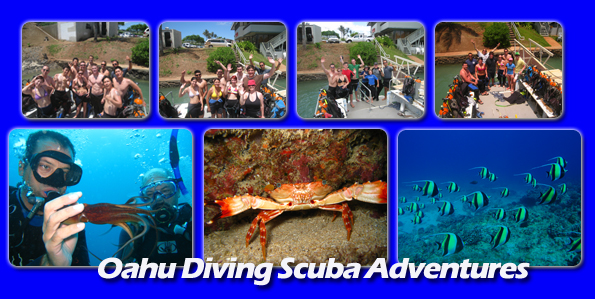Oahu Diving feedback and reviews